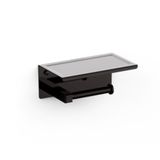  Móc treo giấy vệ sinh American Standard WF-0498HG 