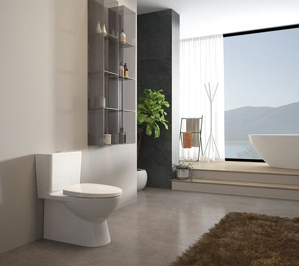 Bồn cầu Viglacera P.12.600 - Bùi Minh