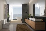  Bàn cầu 2 khối P.12.600 Viglacera Platinum 