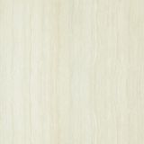  Gạch Taicera P67202N 