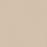  Gạch Viglacera TS-MT603 