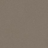  Gạch Viglacera TS-MT606 