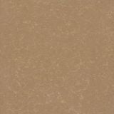  Gạch Viglacera TS2-810 