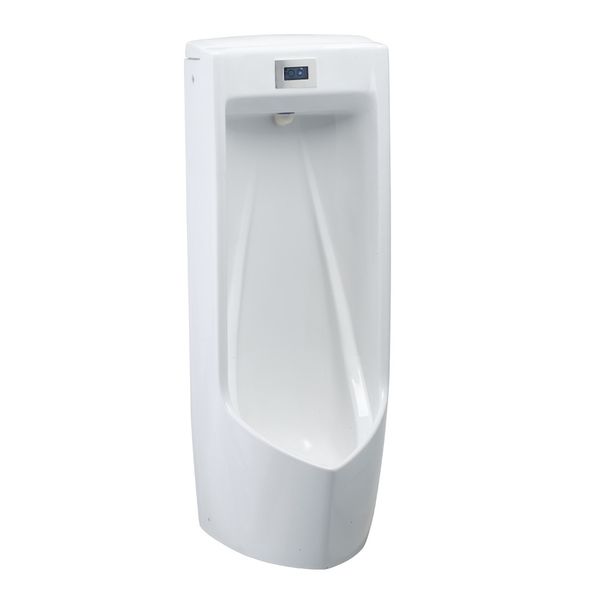 Tiểu nam Caesar U0283 - Bùi Minh