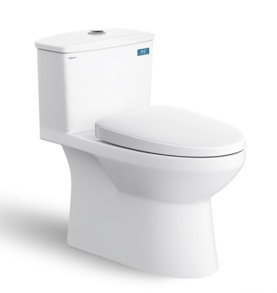 Bàn cầu 1 khối Viglacera V811 - Bùi Minh