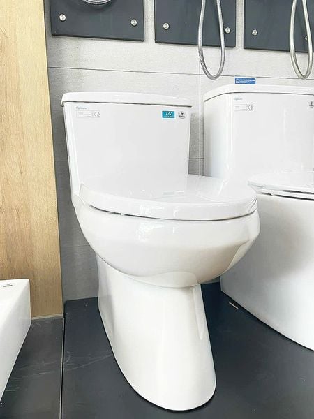 Bàn cầu 1 khối Viglacera V811 - Bùi Minh