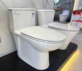  Bàn cầu 1 khối Viglacera V819 