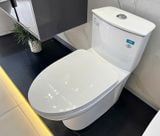  Bàn cầu 1 khối Viglacera V819 