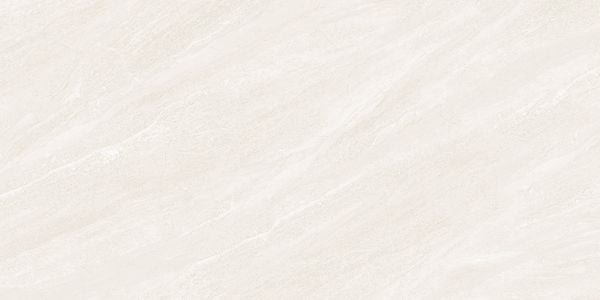  Gạch Viglacera ECO48501 