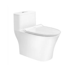 Bàn cầu 1 khối American Standard WP-1880