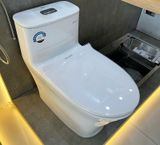  Bàn cầu 1 khối American Standard WP-1880 