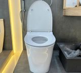  Bàn cầu 1 khối American Standard WP-1880 