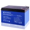 Ắc Quy Axit Chì Cheshing Champion NP12-12 Blue