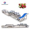 Dây Chuyền Chế Biến Thực Phẩm Tengsheng Tùy Chỉnh Cho Nhà Máy Thực Phẩm dùng trong dây chuyền chế biến thực phẩm