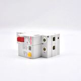  Aptomat chống rò RCBO Delixi DZ47SLE 