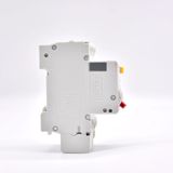  Aptomat chống rò RCBO Delixi DZ47SLE 