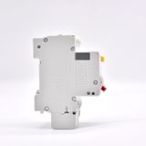  Aptomat chống rò RCBO Delixi DZ47SLE 