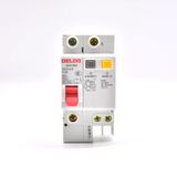  Aptomat chống rò RCBO Delixi DZ47SLE 