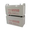 Ắc Quy Axit Chì Banatton/OEM Btg 12-100