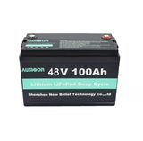  Pin Năng Lượng Mặt Trời Aumoon LP48-100A 