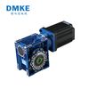  Motor DC Dmke D5BL750-24A-20S/RV50-25 