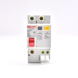  Aptomat chống rò RCBO Delixi DZ47SLE 
