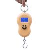 Cân Điện Tử Superfit CAN-SUPERFIT-SF-WS-056 Cho Đo Kiểm Kỹ Thuật - hình ảnh 1