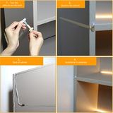  Cảm Ứng Chuyển Đổi Ficlux FBS01 