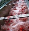 Dây Chuyền Chế Biến Thực Phẩm Easyreal Jam Processing Line Cho Nhà Máy Thực Phẩm dùng trong dây chuyền chế biến thực