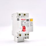  Aptomat chống rò RCBO Delixi DZ47SLE 