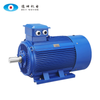 Bơm Hóa Chất Detmotor Động Cơ AC Detmotor Y90S-6 0.75kW 1 HP 220V Cho Hệ Thống Công Nghiệp - hình ảnh sản phẩm kỹ thuật Chima