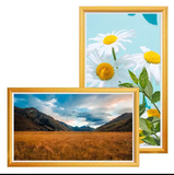  Khung Ảnh Kỹ Thuật Số TVISION TXH750-B0A 75 Inch 