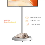  Màn Hình Tương Tác Chân Đứng TVISION CMA22 