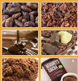  Máy Làm CaCao Gelgoog Công Nghiệp 