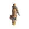 Van An Toàn Covna Safety Valve Cho Đường Ống Công Nghiệp - hình ảnh sản phẩm