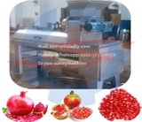  Máy Lột Vỏ Lựu Shuliy SLMODEL 