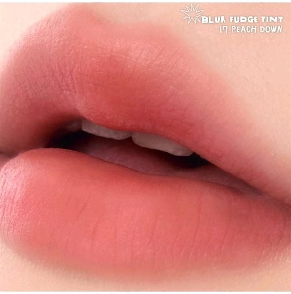 Son KEM LÌ ROMAND Blur Fudge Tint 5g (ROMAND x INAPSQUARE)