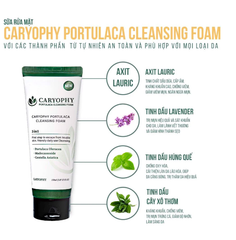 Sữa Rửa Mặt Làm Sạch Sâu, Phục Hồi Da Caryophy Portulaca Cleansing Foam 150ml