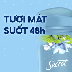 Gel Khử Mùi, Ngăn Tiết Mồ Hồi SECRET 48Hr Clear Gel Anti-Perspirant 73g - Cool Waterlily