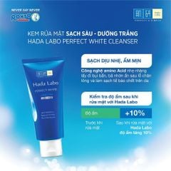 Sữa Rửa Mặt Dưỡng Trắng Da Hada Labo Perfect White Arbutin Cleanser 80g