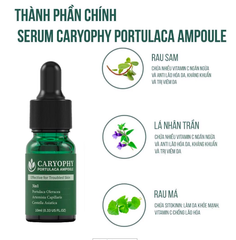 Tinh Chất Chăm Sóc Cho Da Mụn Caryophy Portulaca Ampoule