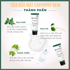 Sữa Rửa Mặt Làm Sạch Sâu, Phục Hồi Da Caryophy Portulaca Cleansing Foam 150ml
