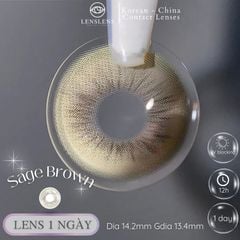 Lens 1 NGÀY Thời Trang DOUYIN (cặp) - SAGE BROWN 0-2 độ