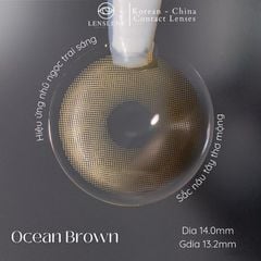 Lens Thời Trang DOUYIN (Cặp) - Ocean Brown