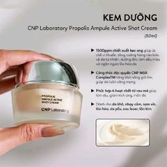 Kem Dưỡng CNP Chiết Xuất Keo Ong Phục Hồi Da Propolis Ampule Active Shot Cream 50ml
