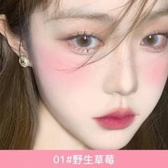 Bảng Phấn Má Hồng PINK COCO