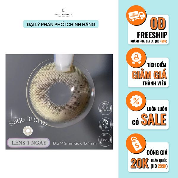 Lens 1 NGÀY Thời trang DOUYIN (cặp) - Sage Brown