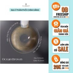Lens Thời Trang DOUYIN (Cặp) - Ocean Brown