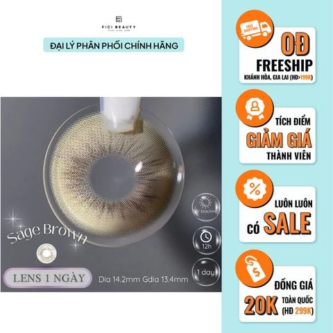 Lens 1 NGÀY Thời Trang DOUYIN (cặp) - SAGE BROWN 0-2 độ