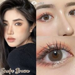 Lens Thời trang DOUYIN (cặp) - Smoke Brown - 0 độ đến 3 độ